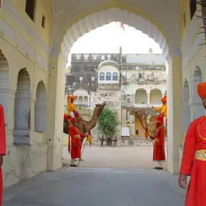 Explore 9-Day  Wellness Camp In Gandharva Retreat : Yoga, Meditation, Ayurveda, Temple Aartis - India for 9 days with IHCT Heritage & Adventure  Tours and discover unforgettable experiences - Photo 6