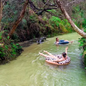 Explore Oz East Coast + Work 20 Days for 20 days with INTRO Travel and discover unforgettable experiences - Photo 6
