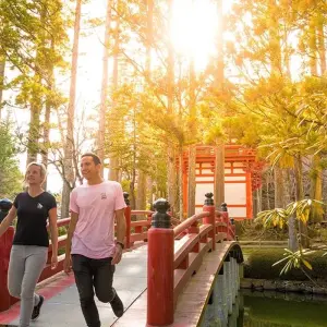Explore Japan Adventure 13 Day for 13 days with INTRO Travel and discover unforgettable experiences - Photo 5