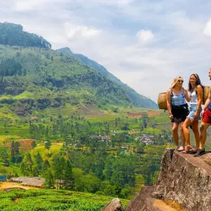 Explore Sri Lanka Experience for 12 days with INTRO Travel and discover unforgettable experiences - Photo 10