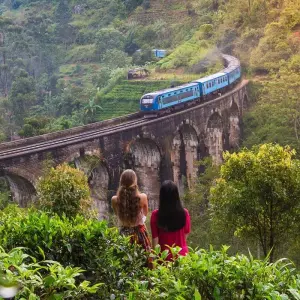 Explore Sri Lanka Experience for 12 days with INTRO Travel and discover unforgettable experiences - Photo 11