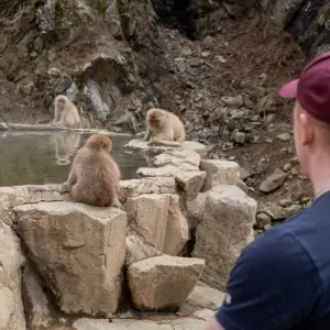 Explore Japan Adventure 13 Day for 13 days with INTRO Travel and discover unforgettable experiences - Photo 8