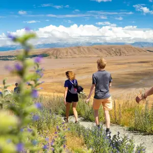 Explore NZ Adventure 17 Day for 17 days with INTRO Travel and discover unforgettable experiences - Photo 5