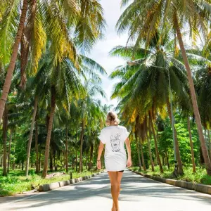 Explore Thai Intro + Dive for 13 days with INTRO Travel and discover unforgettable experiences - Photo 6