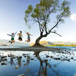 Explore NZ Adventure 17 Day for 17 days with INTRO Travel and discover unforgettable experiences - Photo 10