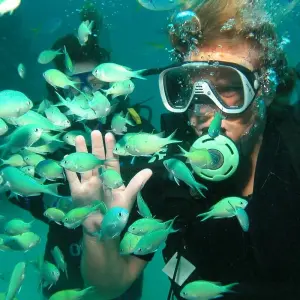 Explore Thai Intro + Dive for 13 days with INTRO Travel and discover unforgettable experiences - Photo 10