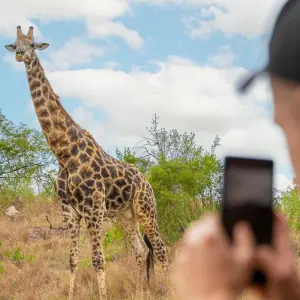 Explore South Africa Adventure for 12 days with INTRO Travel and discover unforgettable experiences - Photo 11