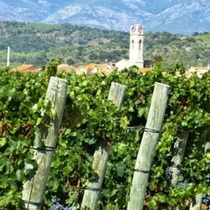 Explore La Rioja - The Descent of the River Ebro Self-Guided Cycling Tour for 8 days with IberoCycle Tours and discover unforgettable experiences - Photo 3