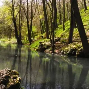 Explore La Rioja - The Descent of the River Ebro Self-Guided Cycling Tour for 8 days with IberoCycle Tours and discover unforgettable experiences - Photo 6