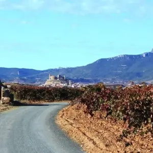 Explore La Rioja - The Descent of the River Ebro Self-Guided Cycling Tour for 8 days with IberoCycle Tours and discover unforgettable experiences - Photo 7