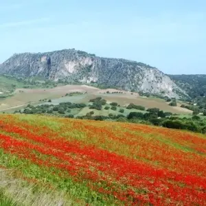 Explore La Rioja - The Descent of the River Ebro Self-Guided Cycling Tour for 8 days with IberoCycle Tours and discover unforgettable experiences - Photo 10