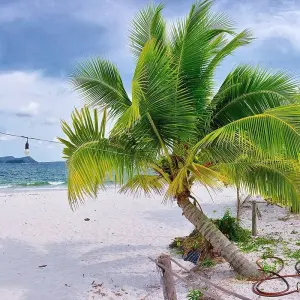 Explore Laos and Cambodia with Beach Vacation on Koh Rong 16 Days for 14 days with Indochina Travels and discover unforgettable experiences - Photo 5