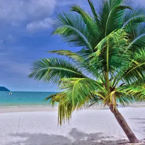 Explore Cambodia with Beach Vacation on Koh Rong or Koh Rong Samloem for 12 days with Indochina Travels and discover unforgettable experiences - Photo 3