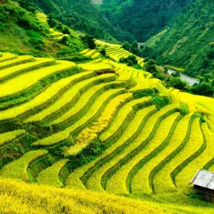 Explore Discover Vietnam for 14 days with Indochina Travels and discover unforgettable experiences - Photo 7