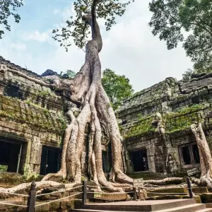 Explore Cambodia with Beach Vacation on Koh Rong or Koh Rong Samloem for 12 days with Indochina Travels and discover unforgettable experiences - Photo 8