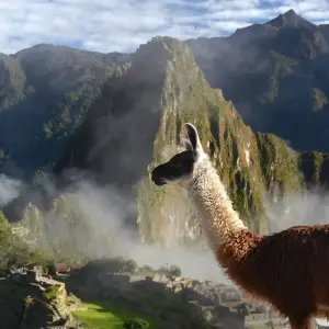 Explore Hidden Inca Trail to Machu Picchu for 4 days with Inkayni Peru Tours and discover unforgettable experiences - Photo 2