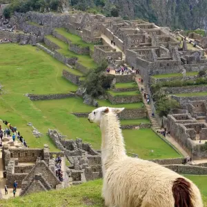 Explore 03 Day Inca Jungle Trail to Machu Picchu - Group service for 3 days with Inkayni Peru Tours and discover unforgettable experiences - Photo 6