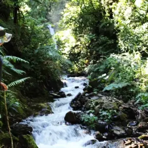 Explore Hidden Inca Trail to Machu Picchu for 4 days with Inkayni Peru Tours and discover unforgettable experiences - Photo 6