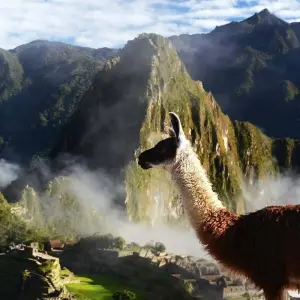Explore 03 Day Inca Jungle Trail to Machu Picchu - Group service for 3 days with Inkayni Peru Tours and discover unforgettable experiences - Photo 8