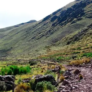 Explore Huchuy Qosqo Trek to Machu Picchu for 3 days with Inkayni Peru Tours and discover unforgettable experiences - Photo 4
