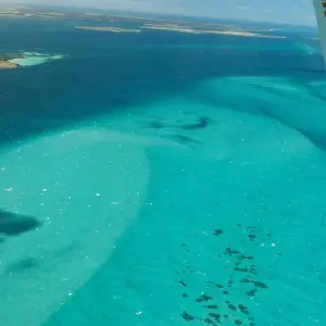 Explore Tasting Tasmania & Flinders Island for 7 days with Inspiring Journeys and discover unforgettable experiences - Photo 2