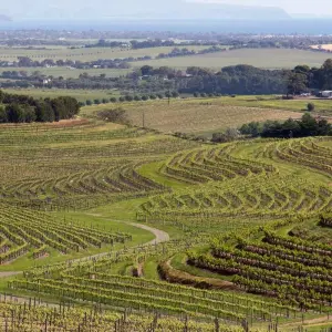 Explore South Australia Murray River Cruise & Wine (2025/2026) for 7 days with Inspiring Journeys and discover unforgettable experiences - Photo 6