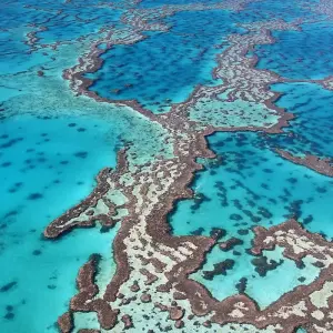 Explore Australia's Hidden Wonders (2025/2026) for 10 days with Inspiring Journeys and discover unforgettable experiences - Photo 3
