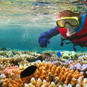 Explore Australia's Hidden Wonders (2025/2026) for 10 days with Inspiring Journeys and discover unforgettable experiences - Photo 8