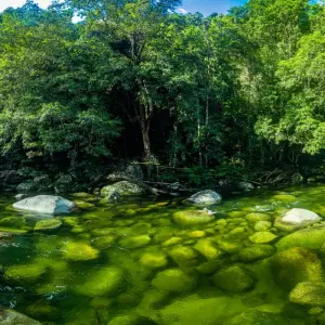 Explore Australia's Hidden Wonders (2025/2026) for 10 days with Inspiring Journeys and discover unforgettable experiences - Photo 9