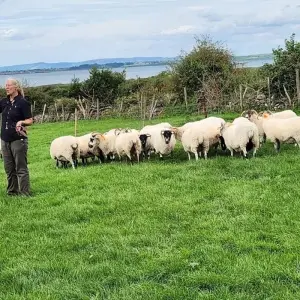 Explore 5 Day South Coast Experience Tour for 5 days with Irish Experience Tours and discover unforgettable experiences - Photo 2