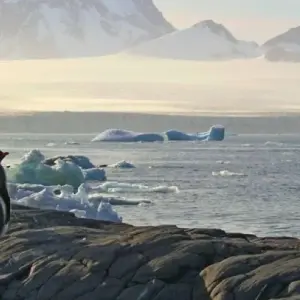 Explore Extraordinary Antarctic route: Weddell Sea Explorer Intensive incl. Helicopter Panorama Flight for 28 days with Inventia and discover unforgettable experiences - Photo 3
