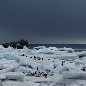 Explore Extraordinary Antarctic route: Weddell Sea Explorer Intensive incl. Helicopter Panorama Flight for 28 days with Inventia and discover unforgettable experiences - Photo 4
