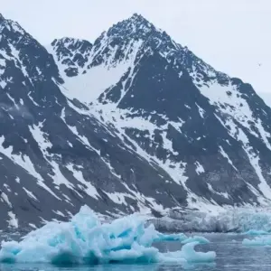 Explore Large Nature and Wildlife Expedition ARound Spitsbergen for 12 days with Inventia and discover unforgettable experiences - Photo 4