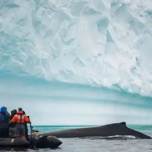 Explore Emperor Penguinds on Snow Hill Island for 11 days with Inventia and discover unforgettable experiences - Photo 7