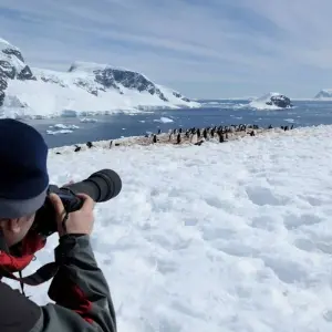 Explore Emperor Penguinds on Snow Hill Island for 11 days with Inventia and discover unforgettable experiences - Photo 8