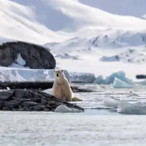 Explore Large Nature and Wildlife Expedition ARound Spitsbergen for 12 days with Inventia and discover unforgettable experiences - Photo 7