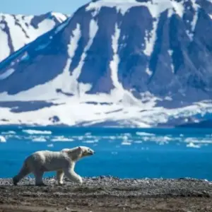 Explore Premium: East Greenland's Northern Lights: Fly and Cruise for 10 days with Inventia and discover unforgettable experiences - Photo 7