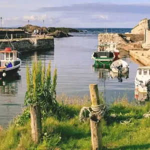Explore 5 Day Giant Irish Experience - Small Group Tour for 5 days with Irish Experience Tours and discover unforgettable experiences - Photo 4