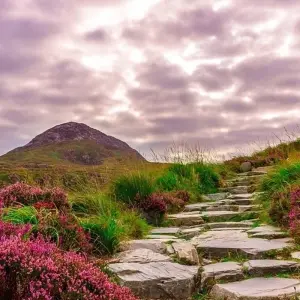 Explore 8 Day Castles & Coast Experience  - Small Group Tour for 8 days with Irish Experience Tours and discover unforgettable experiences - Photo 7