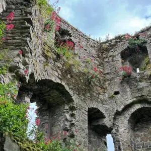 Explore 14 Day Full Irish Tour – Small Group Coach Tour for 14 days with Irish Tours For You and discover unforgettable experiences - Photo 3