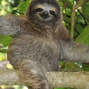 Explore Classic Costa Rica for 15 days with Intrepid Travel and discover unforgettable experiences - Photo 3