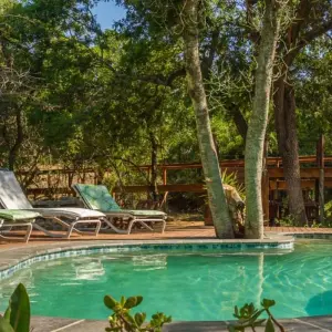 Explore Kruger Lodge Experience for 4 days with Intrepid Travel and discover unforgettable experiences - Photo 2
