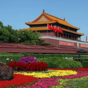 Explore China Highlights for 8 days with Intrepid Travel and discover unforgettable experiences - Photo 11