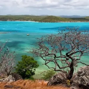 Explore Cape York & Torres Strait Explorer for 11 days with Intrepid Travel and discover unforgettable experiences - Photo 5