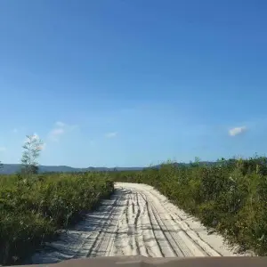 Explore Cape York & Torres Strait Explorer for 11 days with Intrepid Travel and discover unforgettable experiences - Photo 6