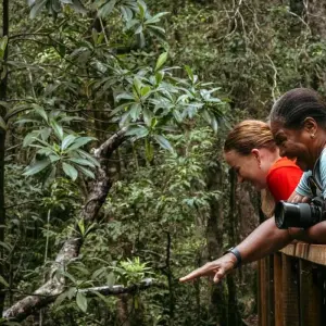 Explore Cape York & Torres Strait Explorer for 11 days with Intrepid Travel and discover unforgettable experiences - Photo 9