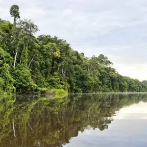 Explore Inca Trail & Amazon Adventure (34 destinations) for 12 days with Intrepid Travel and discover unforgettable experiences - Photo 2