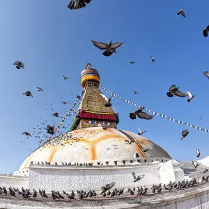 Explore Highlights of India & Nepal for 19 days with Intrepid Travel and discover unforgettable experiences - Photo 2