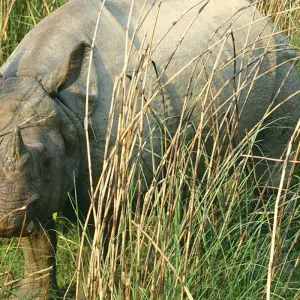 Explore Highlights of India & Nepal for 19 days with Intrepid Travel and discover unforgettable experiences - Photo 7