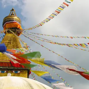Explore Highlights of India & Nepal for 19 days with Intrepid Travel and discover unforgettable experiences - Photo 10